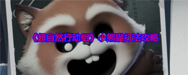 《超自然行动组》小熊猫打法攻略