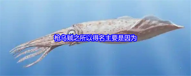 枪乌贼之所以得名主要是因为