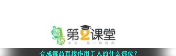 合成**直接作用于人的什么部位？