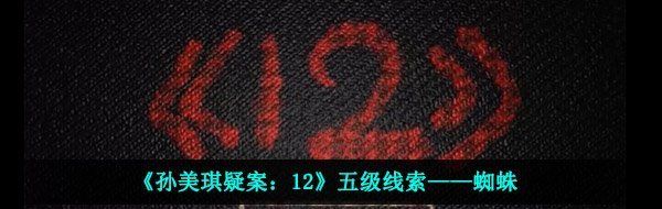 《孙美琪疑案：12》五级线索——蜘蛛