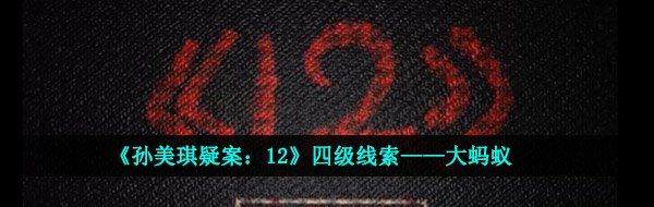 《孙美琪疑案：12》四级线索——大蚂蚁