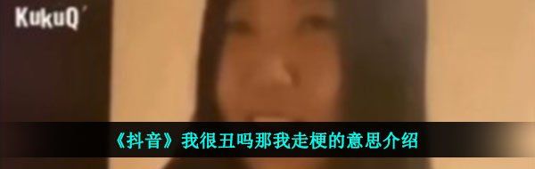 《抖音》我很丑吗那我走梗的意思介绍