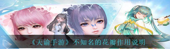 《天谕手游》不知名的花瓣作用说明
