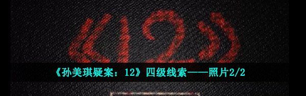 《孙美琪疑案：12》四级线索——照片2/2
