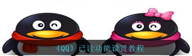 《QQ》已读功能设置教程