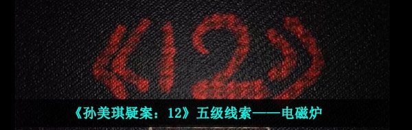 《孙美琪疑案：12》五级线索——电磁炉
