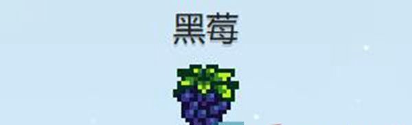 《星露谷物语》黑莓脆皮饼制作方法