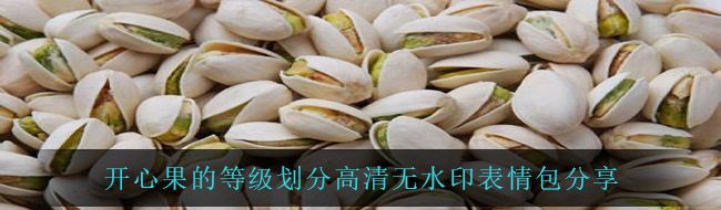 开心果的等级划分高清无水印表情包分享