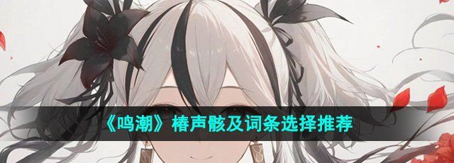 《鸣潮》椿声骸及词条选择推荐