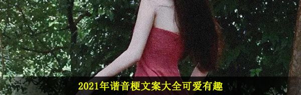 2021年谐音梗文案大全可爱有趣
