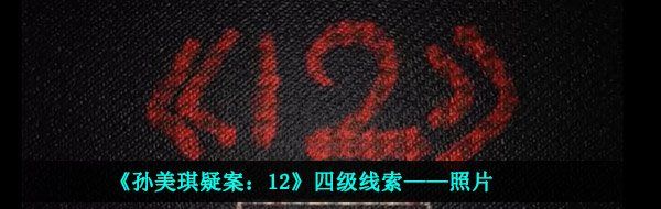 《孙美琪疑案：12》四级线索——照片