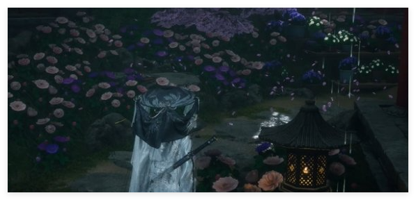 《燕云十六声》芳菲有情笺风信花位置一览