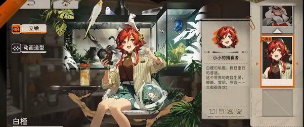 《新月同行》象极测试内容一览