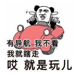 《抖音》就是玩儿体系列表情包大全