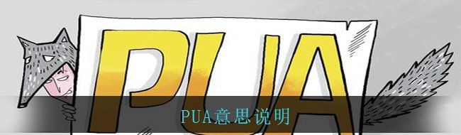 PUA意思说明