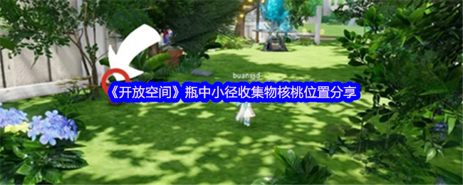 《开放空间》瓶中小径收集物核桃位置分享