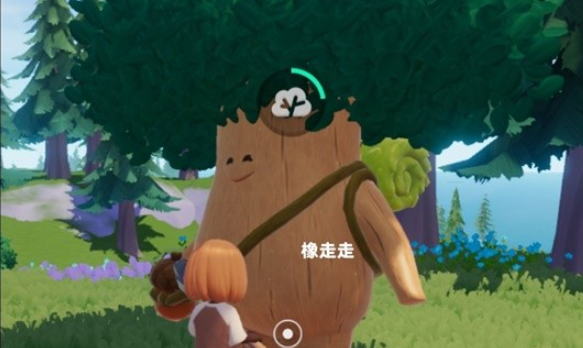 《心动小镇》溜溜木位置一览