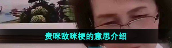 《抖音》贵咪敌咪梗的意思介绍