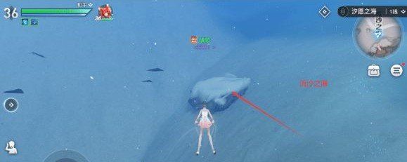 《天谕手游》汐愿之海景点坐标位置介绍