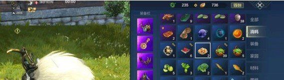 《妄想山海》宠物快速回血方法介绍