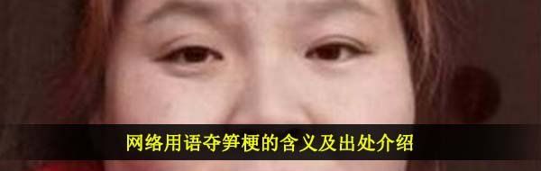 网络用语夺笋梗的含义及出处介绍