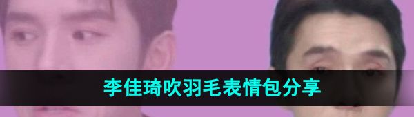《抖音》李佳琦吹羽毛表情包分享