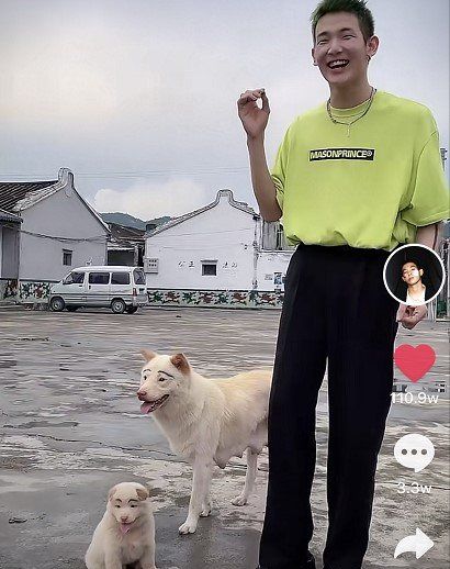 《抖音》寻找梅尼耶梗的含义及出处介绍