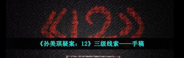 《孙美琪疑案：12》三级线索——手稿