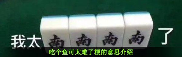 吃个鱼可太难了梗的意思介绍