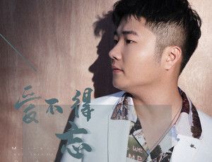 《爱不得忘不舍》MV视频在线观看地址分享