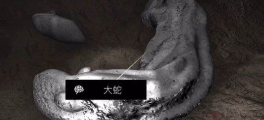 《孙美琪疑案：浮生若梦》四级线索——大蛇