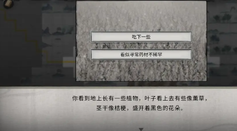 《鬼谷八荒》随机奇遇有哪些随机奇遇汇总5