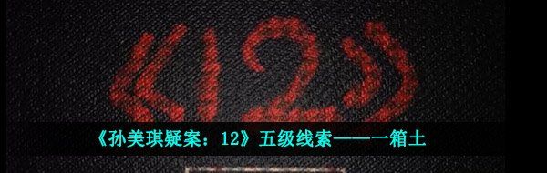 《孙美琪疑案：12》五级线索——一箱土