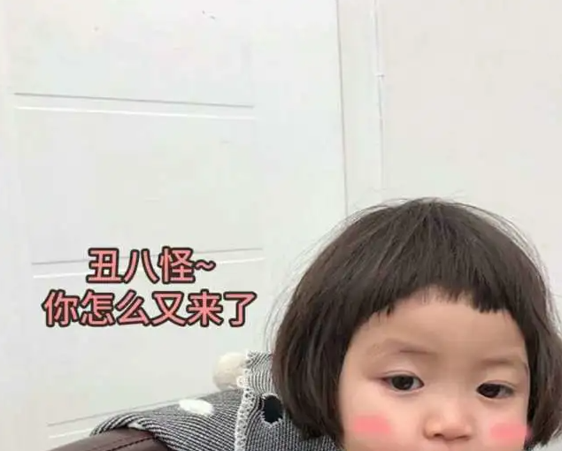 你是不是又在偷看我的朋友圈表情包分享