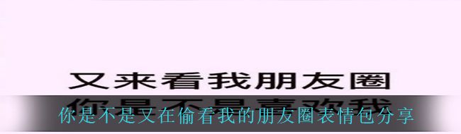 你是不是又在偷看我的朋友圈表情包分享