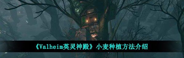 《Valheim英灵神殿》小麦种植方法介绍