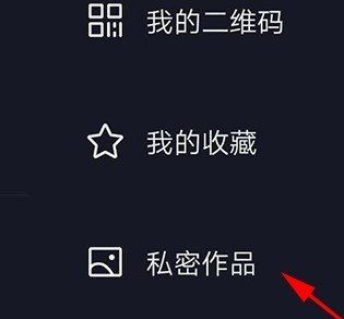 《抖音》一天可见的视频第二天查看地址
