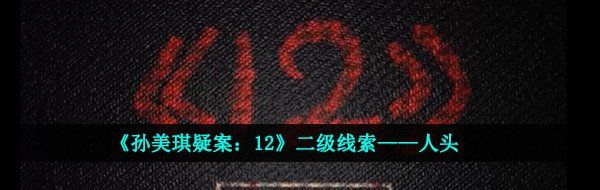 《孙美琪疑案：12》二级线索——人头